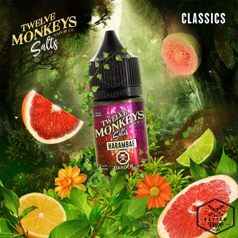 12 Twelve Monkeys Nicotine Nic Salt E Liquid Vape Juice 20mg 50VG
