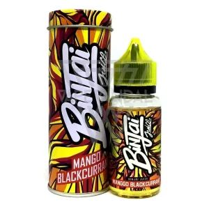 Binjai Juice – Mango Blackcurrant