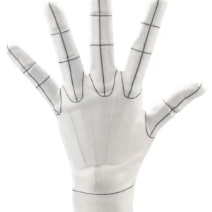 Kotobukiya Artist Support Gloves L Figure Accessories Wireframe Model Hands