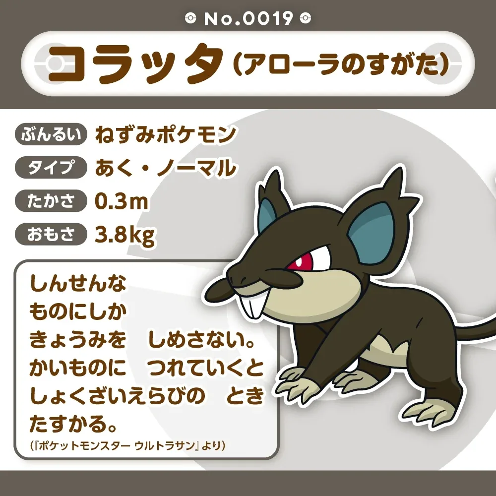 Pokemon Rattata Alola Soft Plush Stuffed Figure Collector's Toy - Image 2